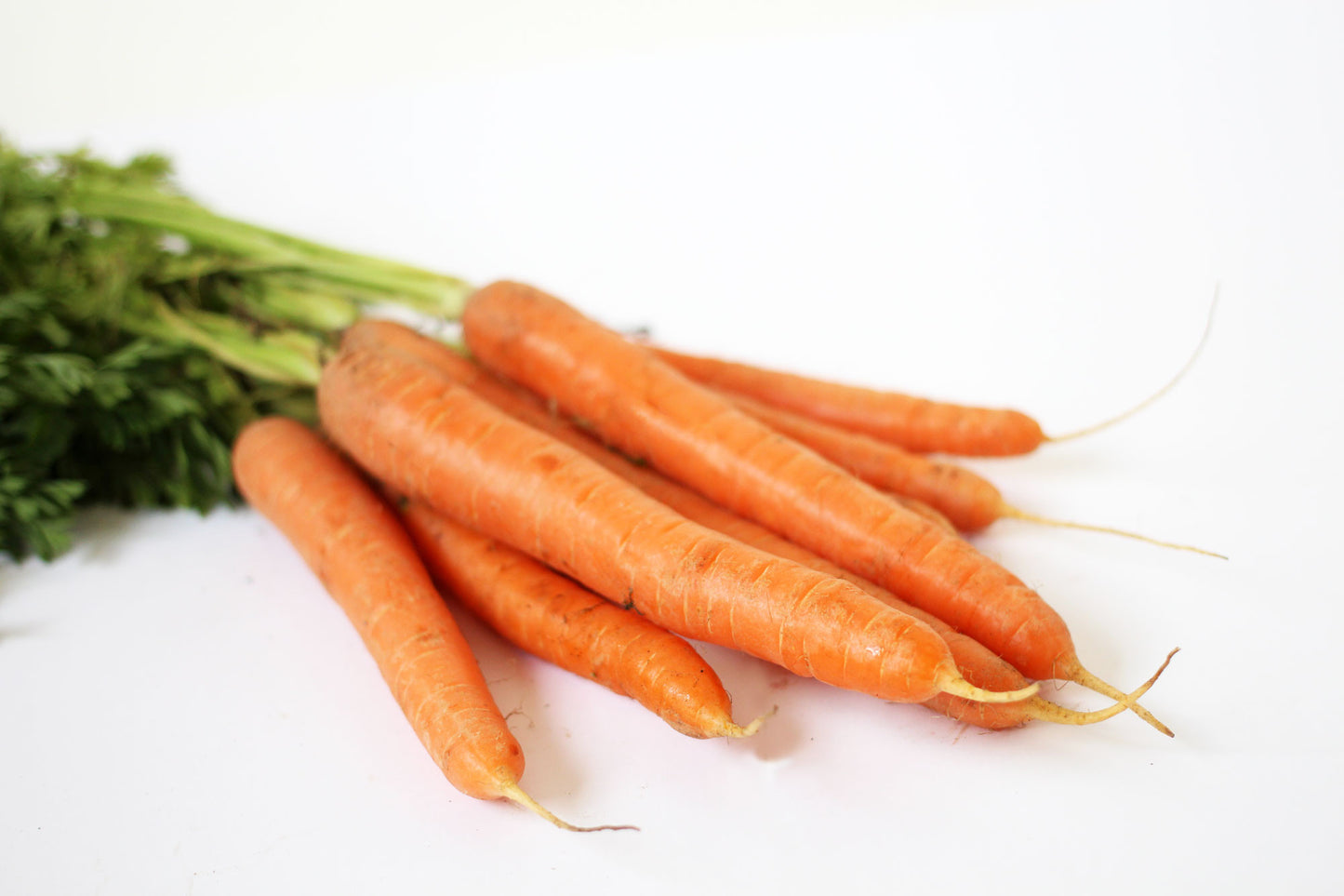 Carrots