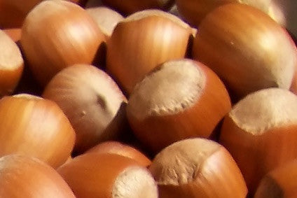 Hazelnuts