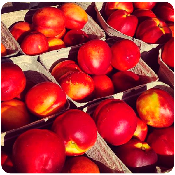 Nectarines