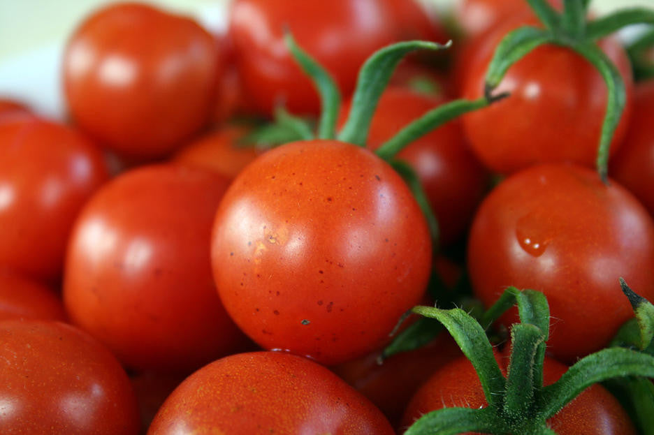 Tomatos