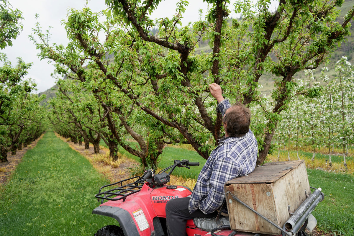 Souto Farms